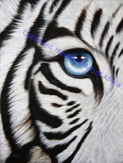 Eye of a White Tiger | Tiger painting, Tiger art, Tiger drawing