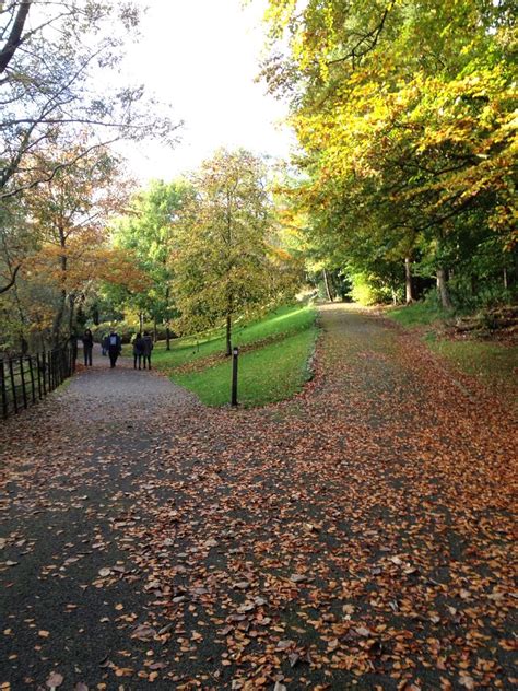 Kelvingrove park in autumn, the westend of Glasgow. Scotland. | Landscape, Country roads, Scotland