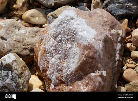 dead sea salt at Jordan Stock Photo - Alamy