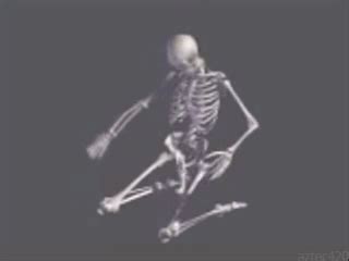 Boner | Skeletons | Know Your Meme