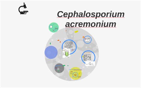 Cephalosporium acremonium by on Prezi