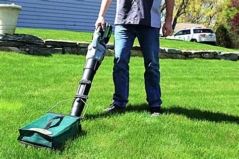 Lawnch–It-leaf-blower-attachment | Leaf blower, Blowers, Collection