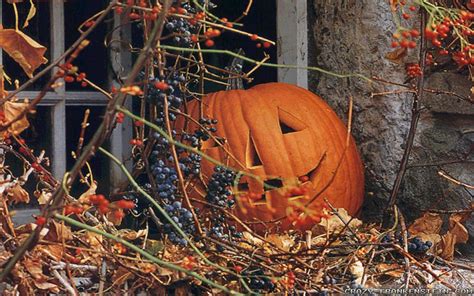 Fall Pumpkin Wallpaper For Desktop (57+ images)