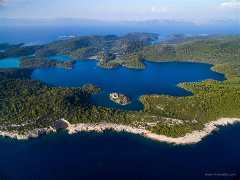 About Mljet - Feral Mljet apartments