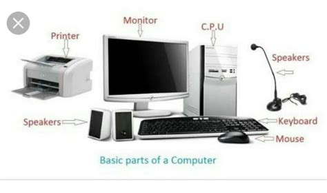 Draw and label the basic parts of a computer - Brainly.ph