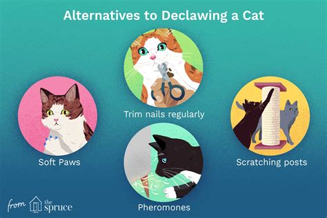 What Does Declawed Dog Mean