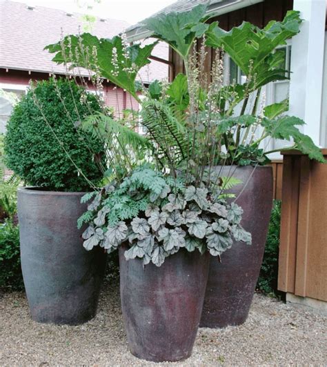 House Plant Pots Containers | Container House Design | Large garden ...