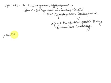 SOLVED: What is a lipid raft? What interactions are responsible for ...