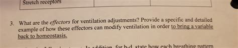 Solved Stretch receptors 3. What are the effectors for | Chegg.com