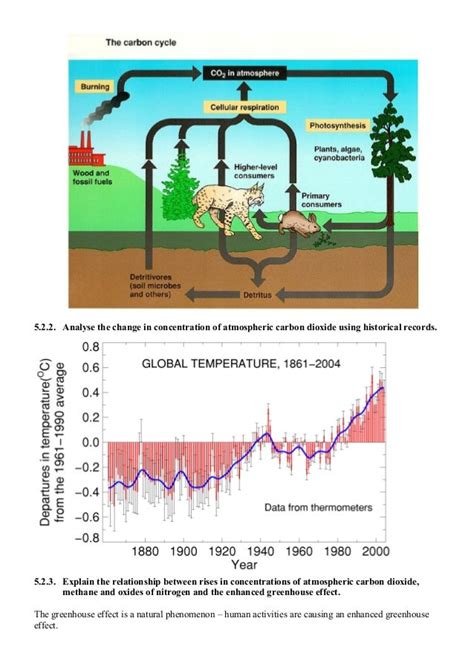 Topic 5 ecology & evolution notes