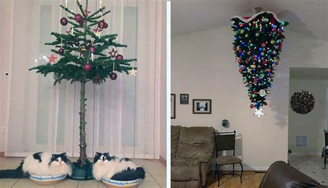 Genius Hacks to Cat-Proof Your Christmas Tree – Meowingtons