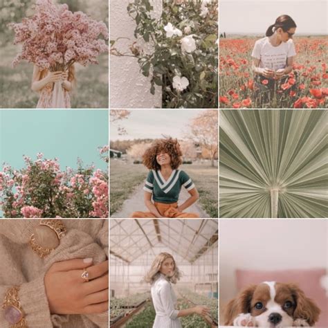 Instagram presets: The Best and Most Popular ones