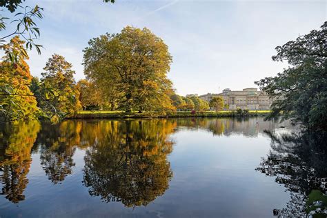 The Secrets Behind The Gardens At Buckingham Palace Revealed In New ...