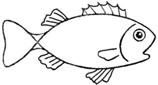 Drawing a Cartoon Fish with Easy Sketching Instructions - How to Draw ...