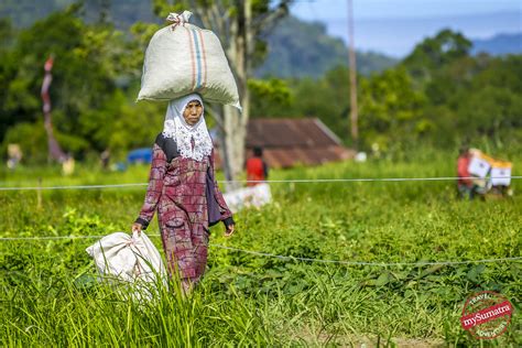 West Sumatra Culture | The locals almost every weekend hold … | Flickr