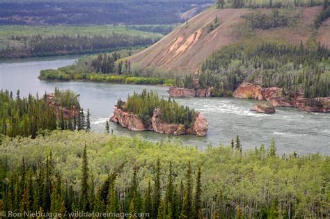 Yukon River | Yukon Territory, Canada. | Photos by Ron Niebrugge