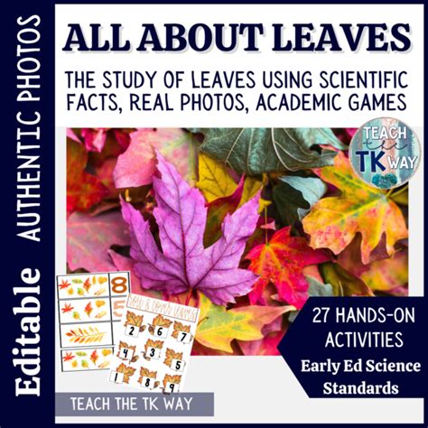 Life Cycle of a Leaf - Natural Classroom Specialist