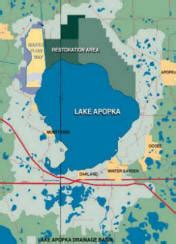 Lake Apopka | Florida Bass Fishing in Orange & Polk County