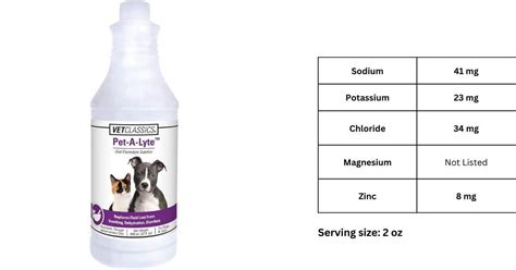 7 Best Electrolytes For Dogs Supplements: Natural Hydration Sources