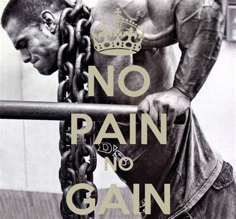 No Pain No Gain Quotes. QuotesGram