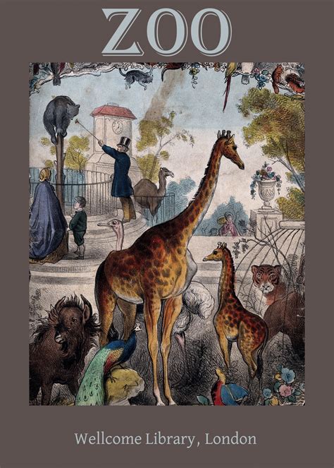 Welcome Library Zoo Remix Drawing Free Stock Photo - Public Domain Pictures