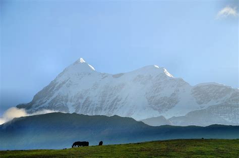 Roopkund Trek Guide Route Map Accommodation Food