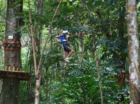 Half day Elephants Zip Line Monkey tour Phuket | the coolest Zip Line ...