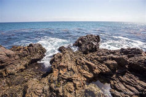 Abalone Cove Preserve: Beach Hiking & Tide Pools in Rancho Palos Verde ...