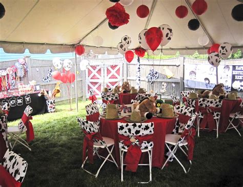 20: Barnyard Birthday Party