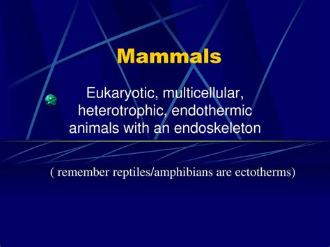 🎉 Are mammals ectothermic or endothermic. Are mammals endothermic or ...