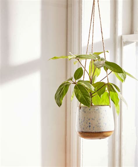 The Best Stylish Indoor Hanging Planters of 2018 | Apartment Therapy