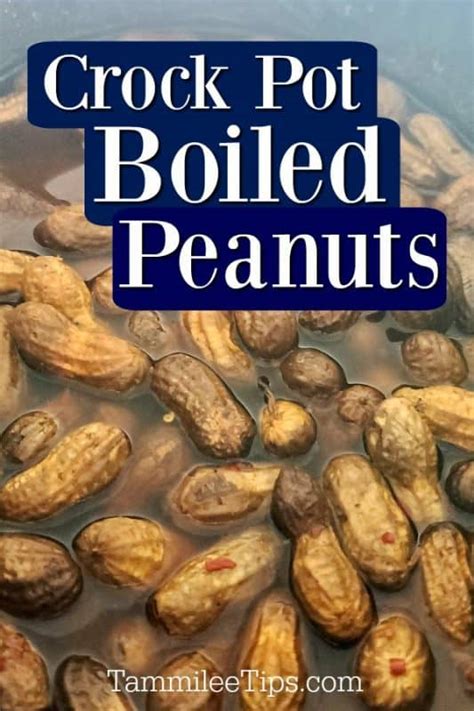 Crock Pot Cajun Boiled Peanuts - Tammilee Tips