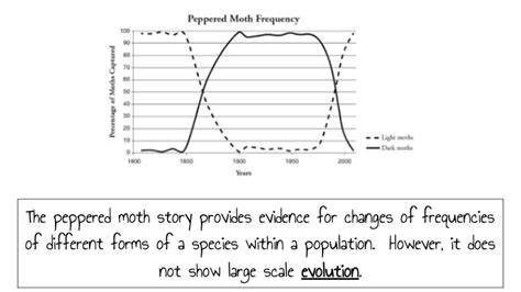 Peppered Moth Graph