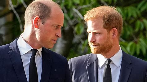 Prince William-Harry's 'feelings raw, rift too deep’: Royal family used ...