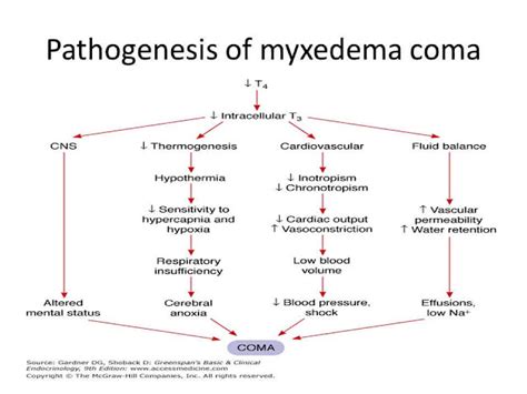 Myxedema Coma| definition, causes, symptoms, diagnosis and treatment