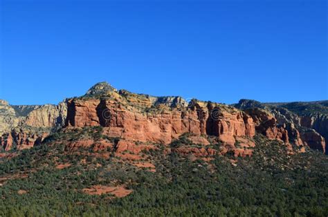 Evergreen Bushes and Trees in a Valley Stock Photo - Image of butte, natural: 256528848