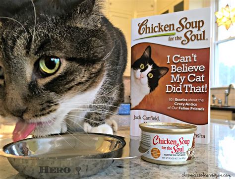 The Chronicles of Cardigan: Q. What's Chicken Soup for the Soul? A. Every Pet Ever #MyPetIsMyHero