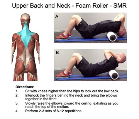 Upper Back and neck | In home Personal Trainer Lee Cherry Denver ...