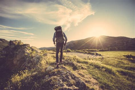 Mission Peak Hiking Trail Stock Photos, Pictures & Royalty-Free Images - iStock