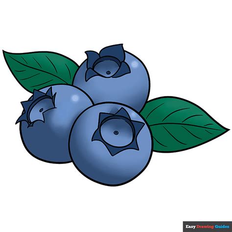 How to Draw a Blueberry - Really Easy Drawing Tutorial