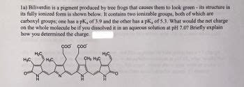 Answered: 1a) Biliverdin is a pigment produced by… | bartleby