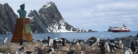 Elephant Island: Five Facts You Need to Know | Antarctica | Hurtigruten Expeditions