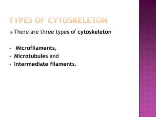 Cytoskeleton | PPT