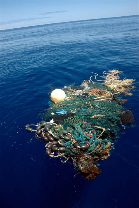 Growth of ocean ‘garbage patch’ alarms experts