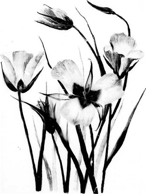 Nature Clipart Black And White | Free download on ClipArtMag