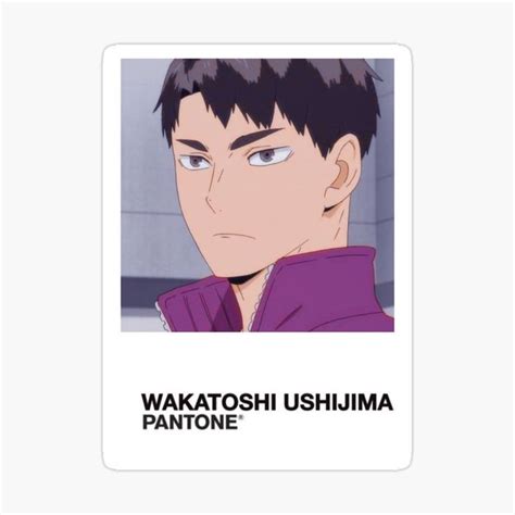 Pin by Madi Hernández on Ushijima W. | Haikyuu, Ushijima wakatoshi, Anime