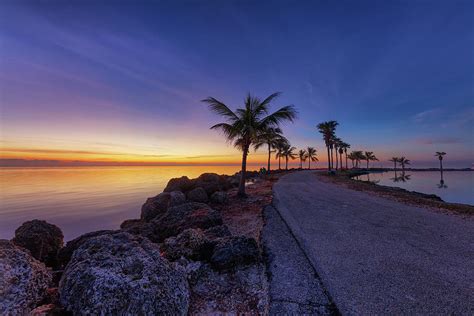 Matheson Hammock Park at Dawn Photograph by Claudia Domenig - Fine Art ...