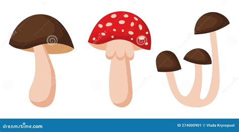 Collection of Various Mushrooms on a White Background. Stock Vector ...