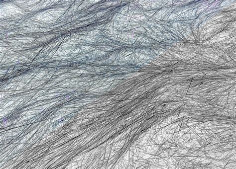 Free Images : branch, texture, floor, material, math, sketch, drawing, chaos, geological ...