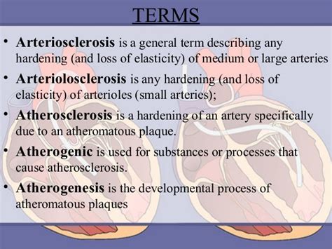 Difference Between Atherosclerosis And Arteriosclerosis - qeqe